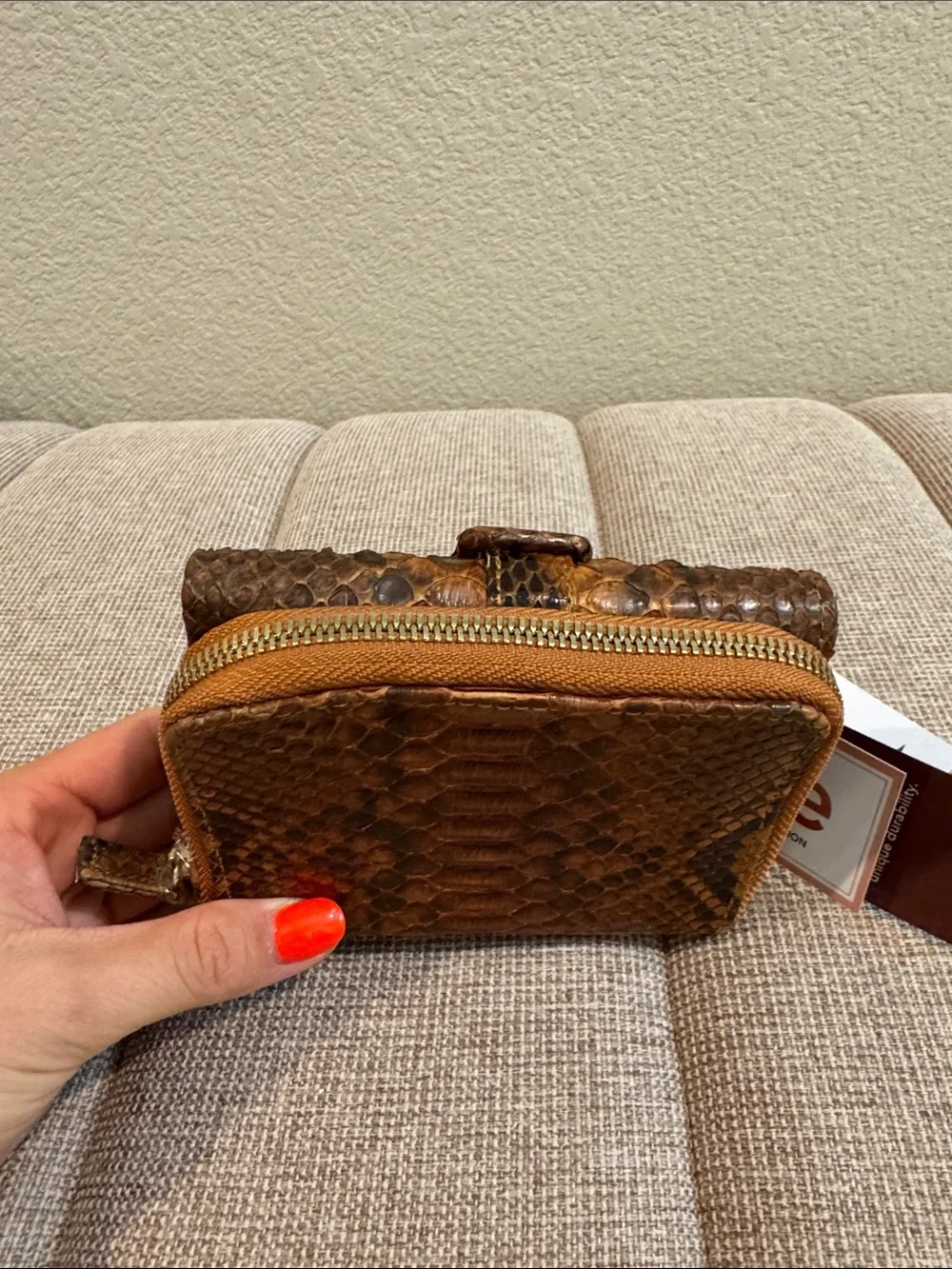 Grand pelle brown exotic
